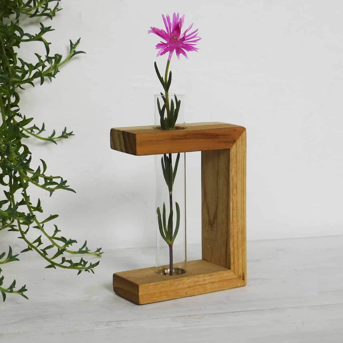 a test tube vase with a bright pink flower is supported in a three sided frame on a white backdrop with a hanging plant next to it