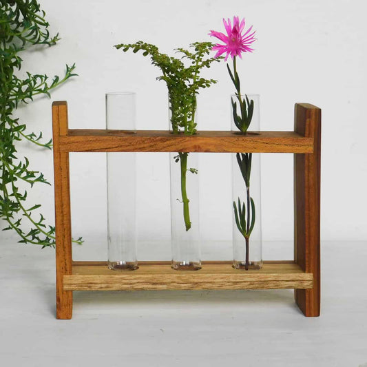 three test tube plant holders with a pink flower and an herb in a teak frame on a white background