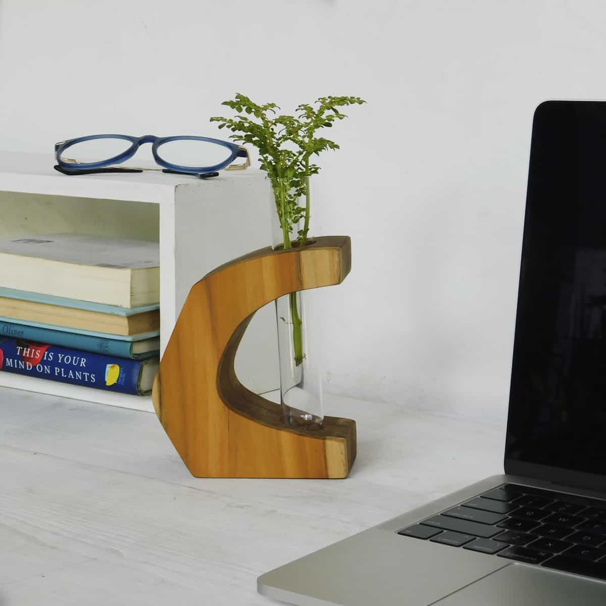  test tube plant holder in a C shaped teak frame on a white desk with books and a computer
