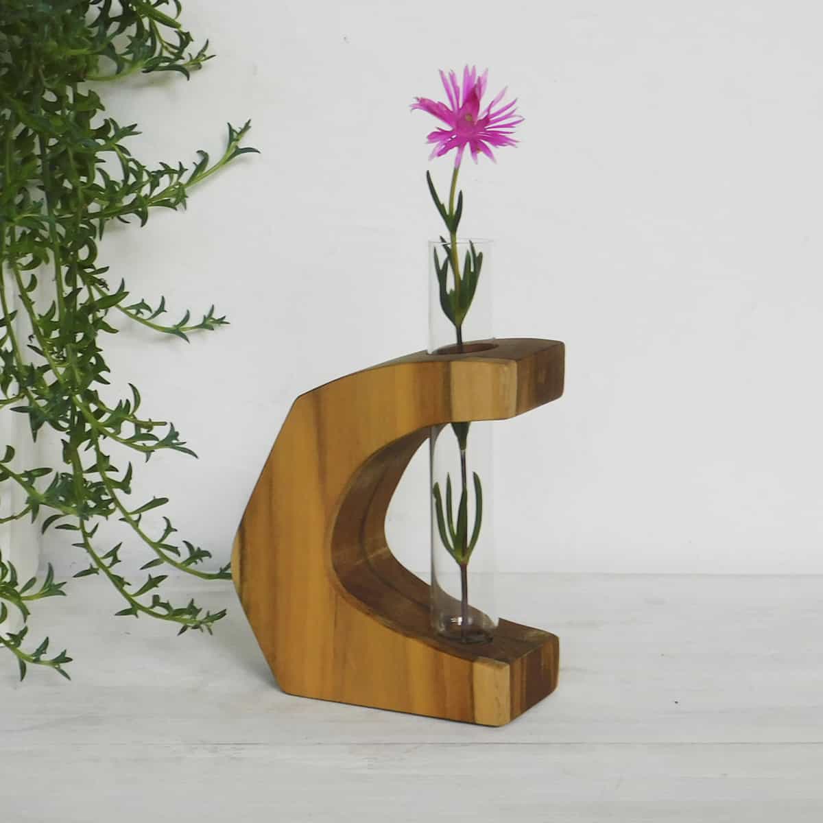 a flower test tubes in a teak frame shaped like a c displaying a pink flower against a white backdrop with a hanging plant
